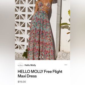 Hello molly dress size small worn one time